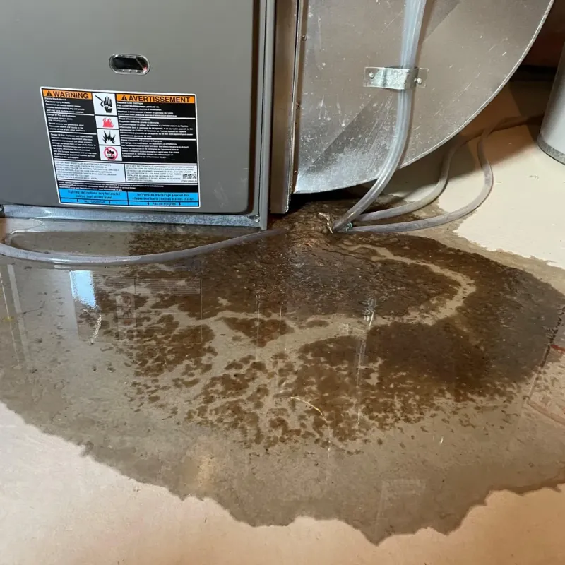 Appliance Leak Cleanup in Marion, VA